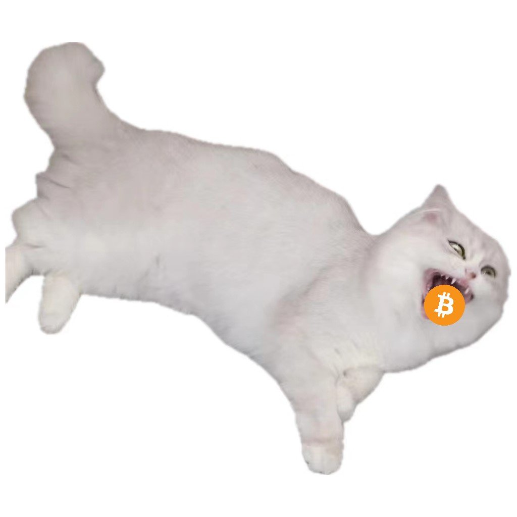 DiigG avatar