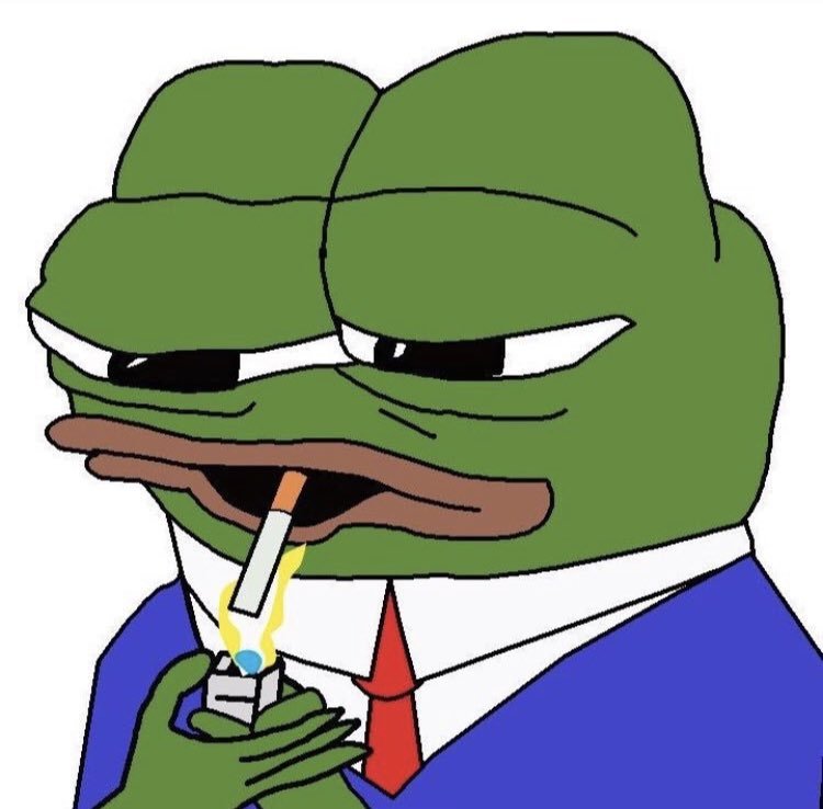 msm299 avatar